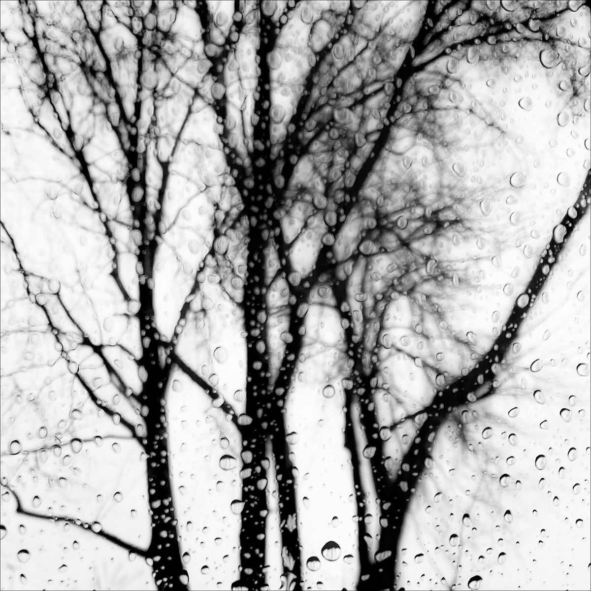Gymnopedie n1 Eleonore Mehl  - Tirage photographique d'art - Photographie d'art - Une image pour rêver
