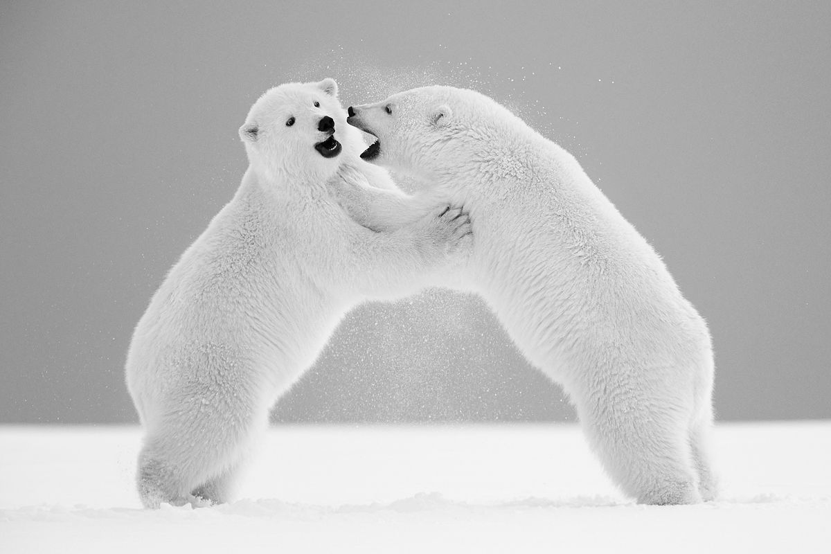 Arrete de crier Lionel Maye Photographie tirage Art Une image pour rever