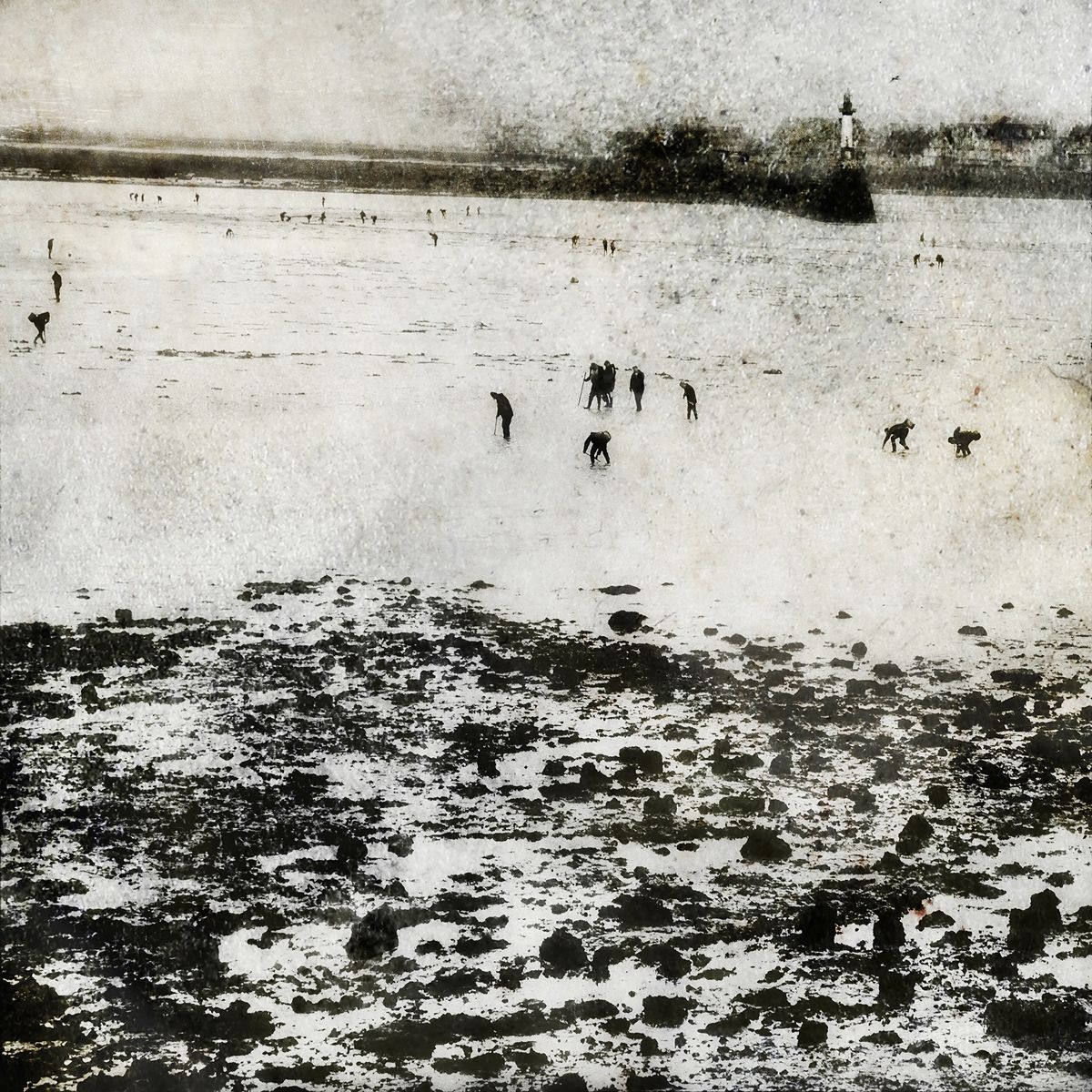 Peche a pied Yves Langlois tirage Fine Art Une image pour rever