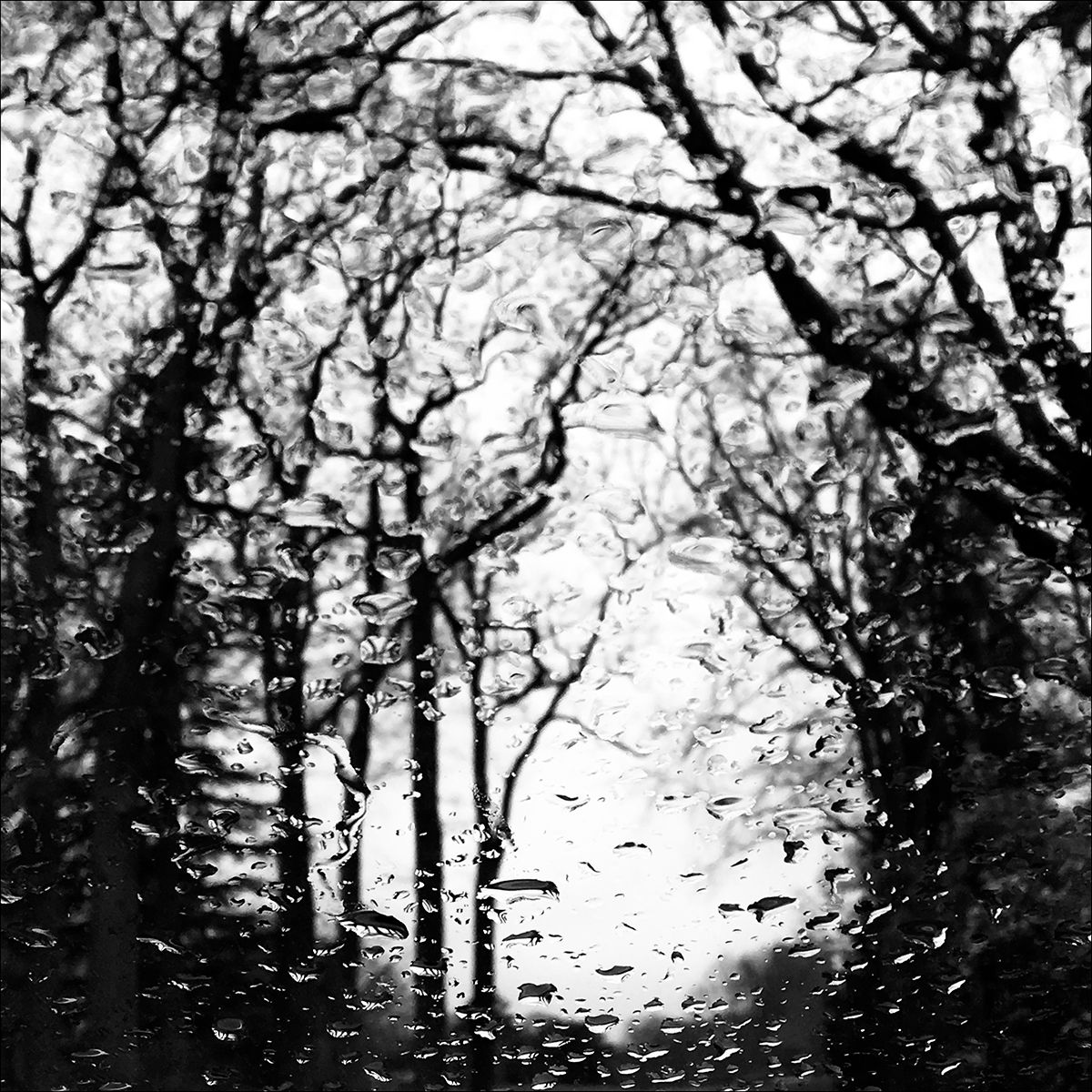 Serenite Eleonore Mehl  - Tirage photographique d'art - Photographie d'art - Une image pour rêver