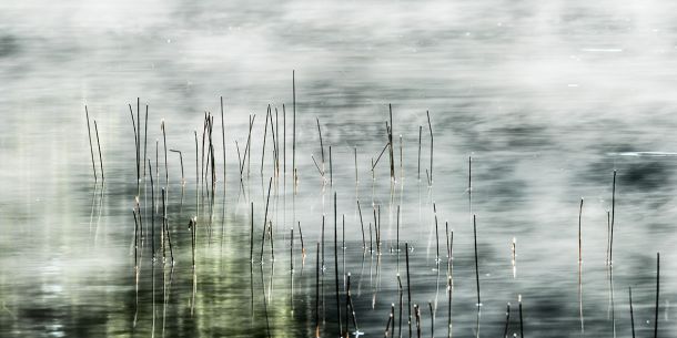 L'etang se rechauffe 2 Pierre Chancy Fine Art print Une image pour rever