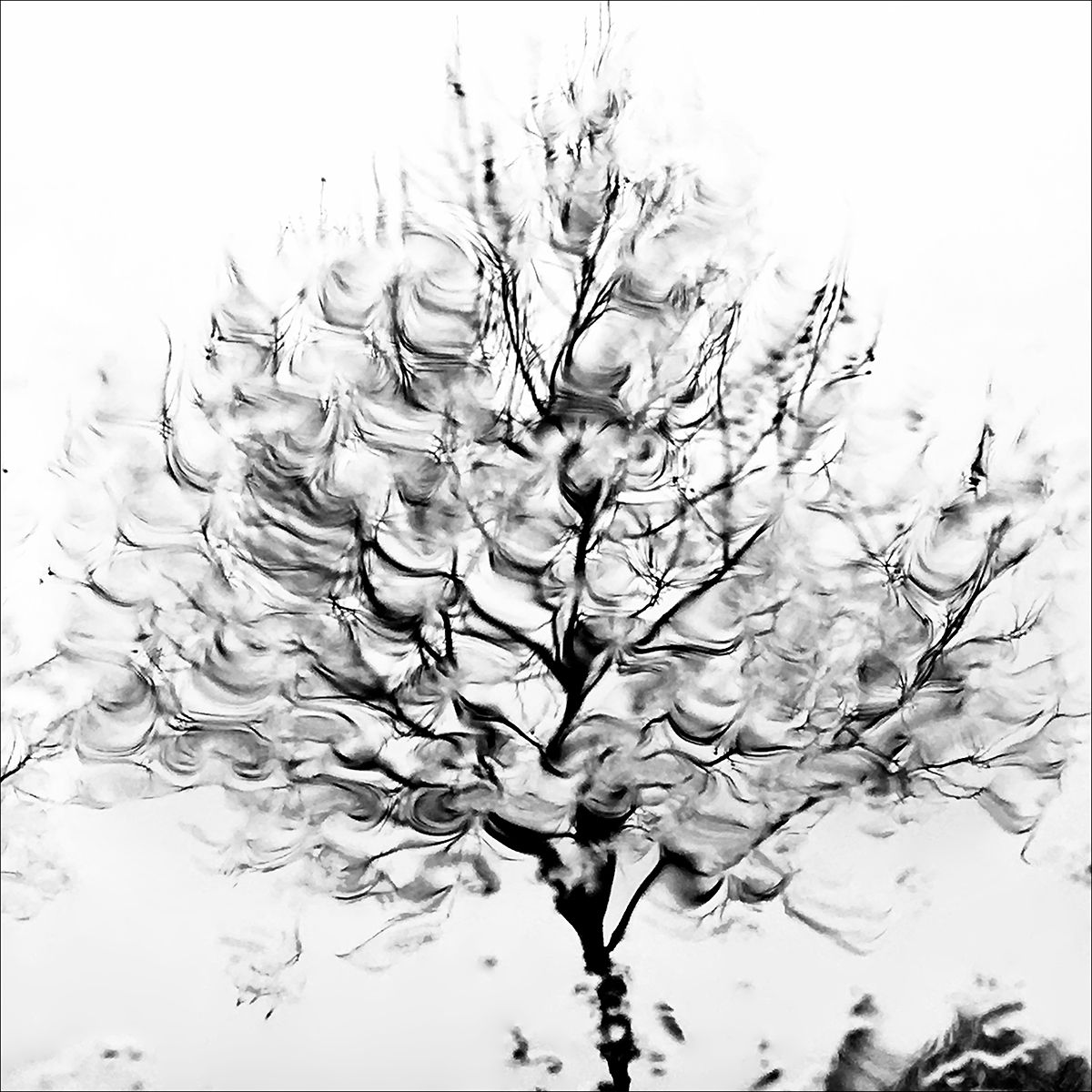 Houle Eleonore Mehl  - Tirage photographique d'art - Photographie d'art - Une image pour rêver