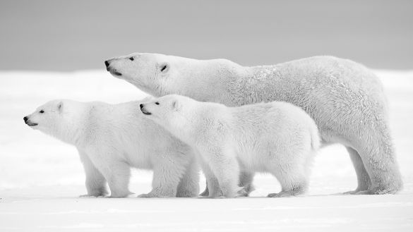 Interessant Lionel Maye - Tirage photographique d'art - Photographie d'art - Une image pour rêver