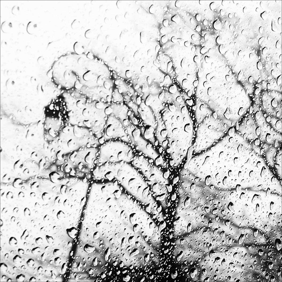 Le Reverbere Eleonore Mehl  - Tirage photographique d'art - Photographie d'art - Une image pour rêver