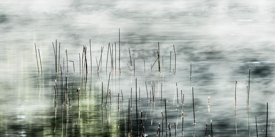 L etang se rechauffe 2 Pierre Chancy - Tirage photographique d'art - Photographie d'art - Une image pour rêver