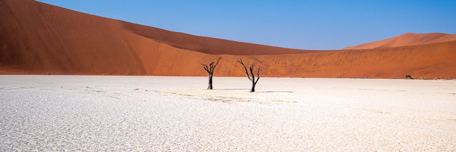 Deadvlei Sossusvlei Namibie Photo Sebastien Desnoulez Photographe une image pour rever
