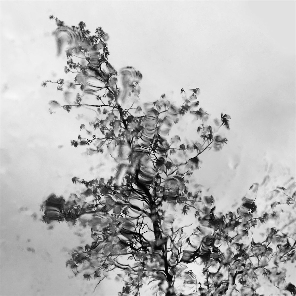 Fantaisie Eleonore Mehl  - Tirage photographique d'art - Photographie d'art - Une image pour rêver