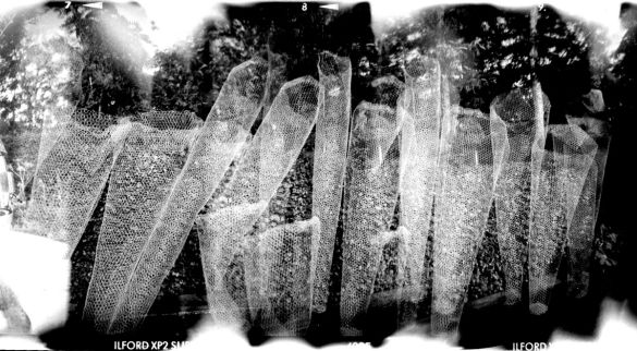 Grillages Sebastien Desnoulez - Tirage photographique d'art - Photographie d'art - Une image pour rêver