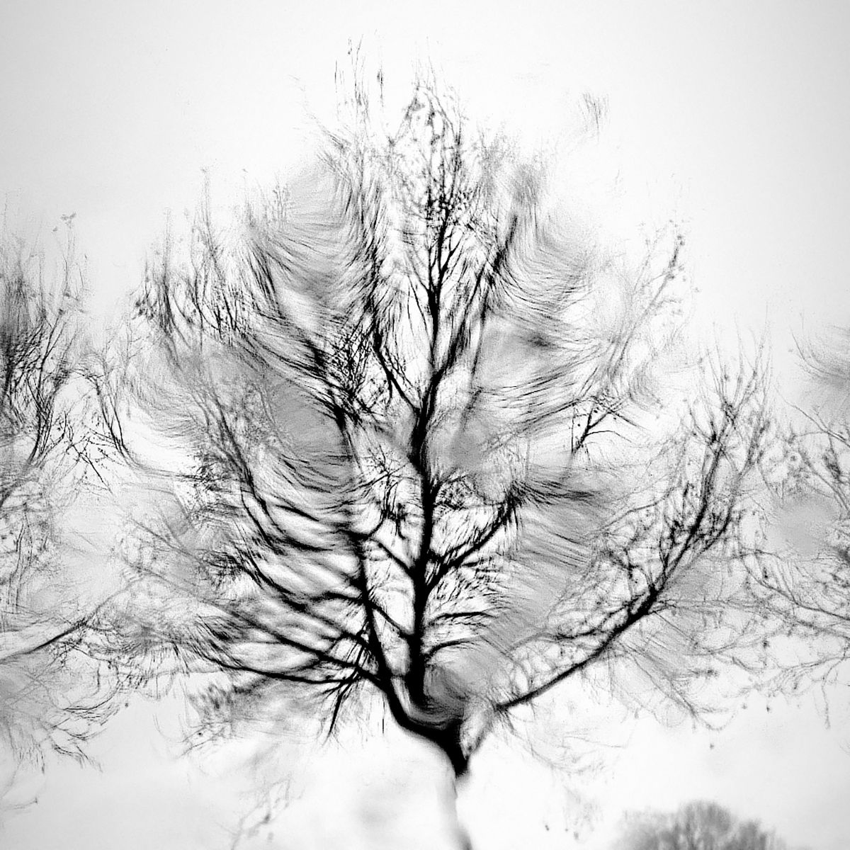 Espoir Eleonore Mehl  - Tirage photographique d'art - Photographie d'art - Une image pour rêver