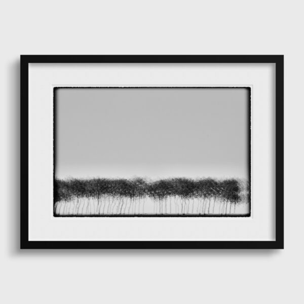 Centipede trees Glitches Serie Sebastien Desnoulez tirage Fine Art Une image pour rever Passe partout