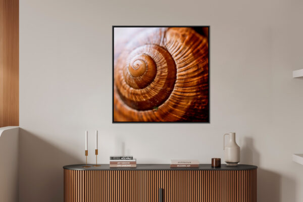 Escargot bourguignon Pierre Chancy Fine Art print Une image pour rever caisse americaine