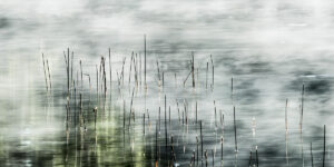 L'etang se rechauffe 2 Pierre Chancy Fine Art print Une image pour rever