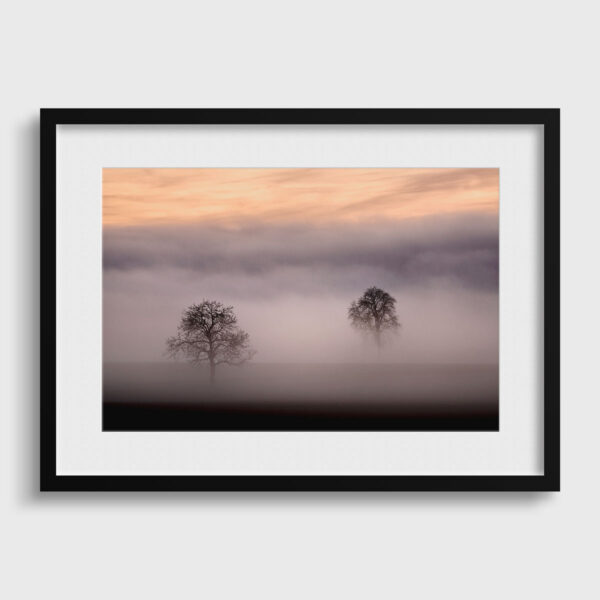 Le reveil de la campagne 2 Pierre Chancy Fine Art print Une image pour rever passe partout