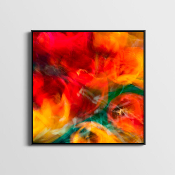 Les tulipes de mon jardin Pierre Chancy Fine Art print Une image pour rever caisse americaine