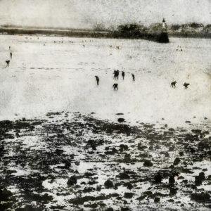 Peche a pied Yves Langlois tirage Fine Art Une image pour rever