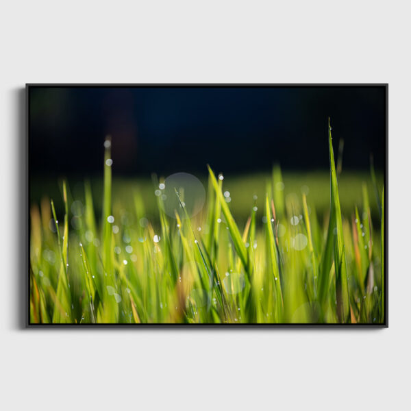 Riziere Bali Sebastien Desnoulez tirage Fine Art Une image pour rever caisse americaine