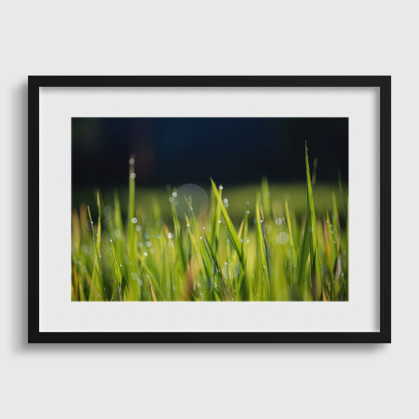 Riziere Bali Sebastien Desnoulez tirage Fine Art Une image pour rever passe partout