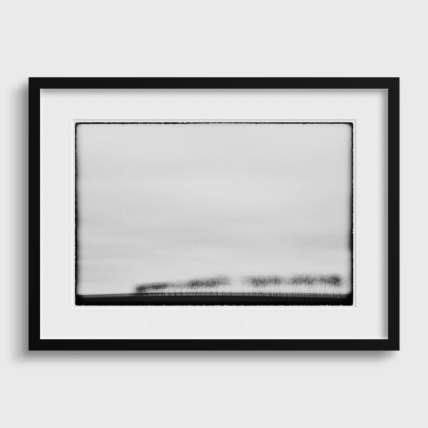 Trees III Glitches Serie Sebastien Desnoulez Fine Art print Une image pour rever Passe partout