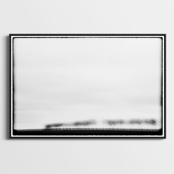 Trees III Glitches Serie Sebastien Desnoulez Fine Art print Une image pour rever caisse americaine