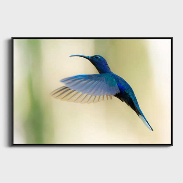 10 grammes de beaute Lionel Maye tirage Fine Art Une image pour rever caisse americaine