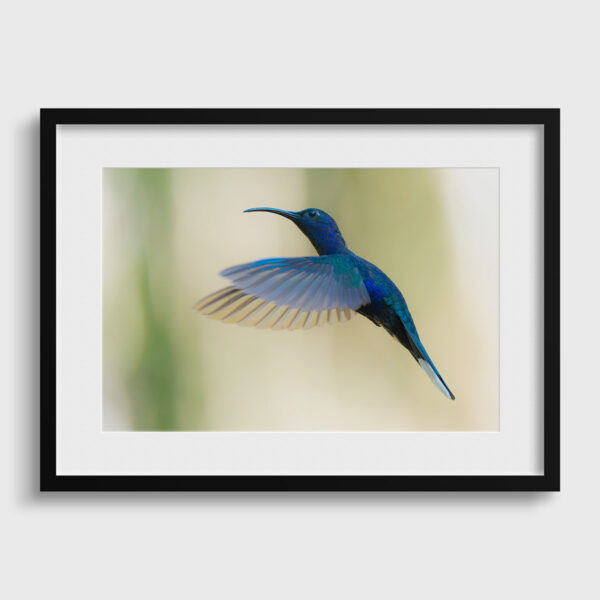 10 grammes de beaute Lionel Maye tirage Fine Art Une image pour rever passe partout
