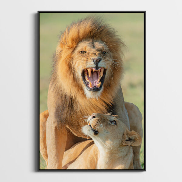 Coupling Lionel Maye Fine Art print An image for rever caisse americaine