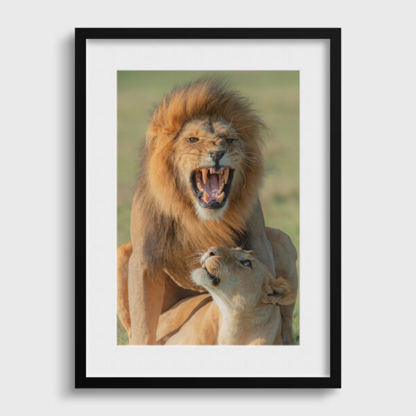 Coupling Lionel Maye Fine Art print An image for rever passe partout