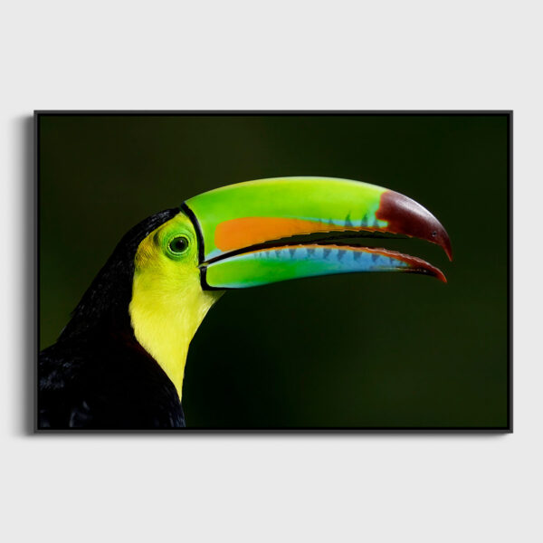 Arc en ciel Lionel Maye tirage Fine Art Une image pour rever caisse americaine