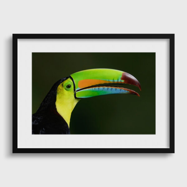 Arc en ciel Lionel Maye tirage Fine Art Une image pour rever passe partout