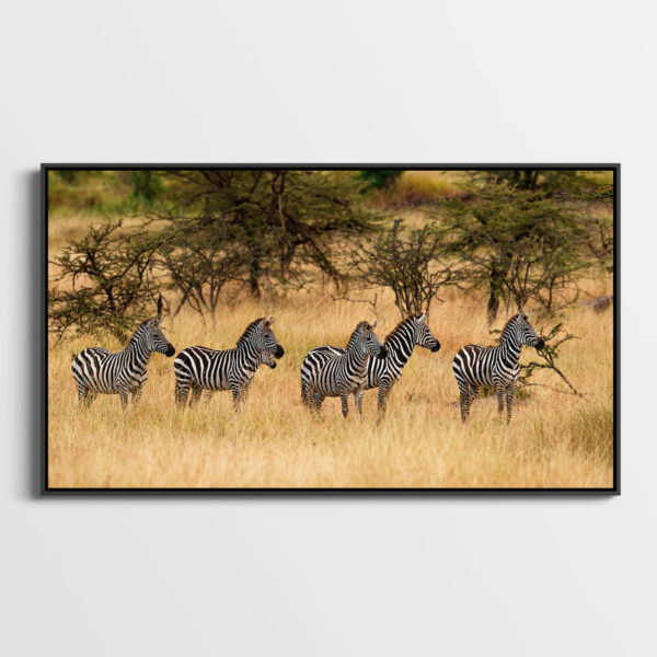 Aux aguets Lionel Maye tirage Fine Art Une image pour rever caisse americaine