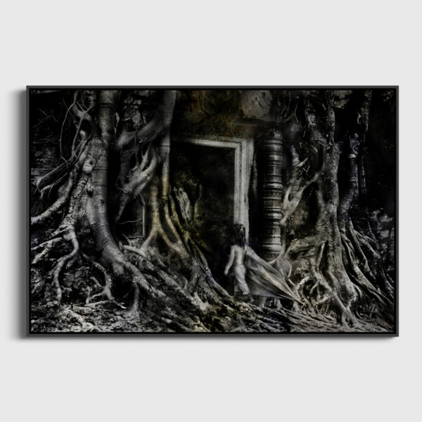 Conte de fee au Cambodge Yves Langlois tirage Fine Art Une image pour rever caisse americaine