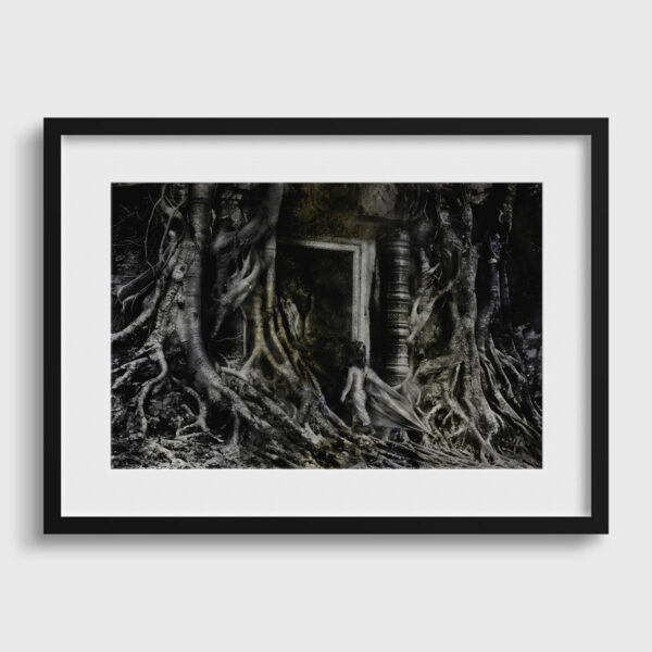 Conte de fee au Cambodge Yves Langlois tirage Fine Art Une image pour rever passe partout