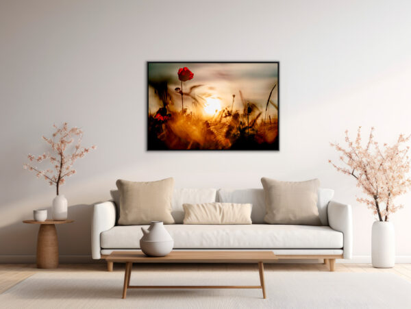 Coquelicot 1 Pierre Chancy tirage Fine Art Une image pour rever caisse americaine en situation