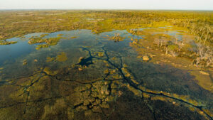 Delta de l Okavango Lionel Maye tirage Fine Art Une image pour rever