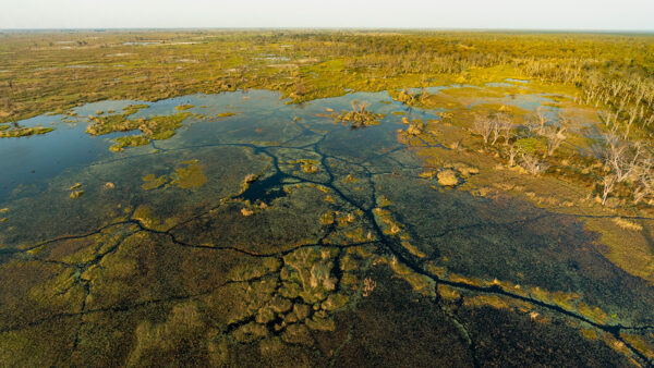 Okavango Delta Lionel Maye Fine Art print Une image pour rever