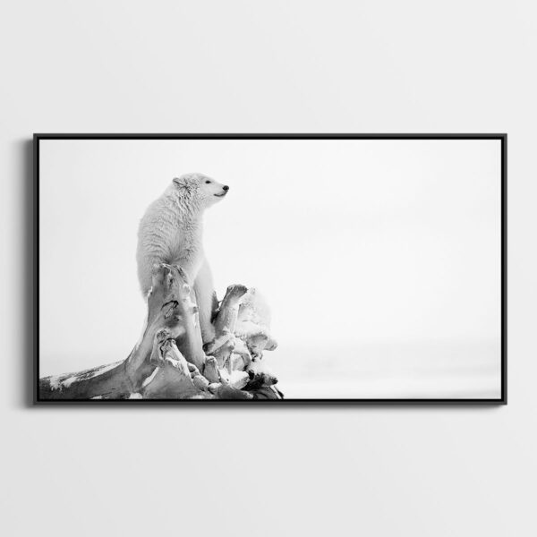 En equilibre Lionel Maye Fine Art print Une image pour rever caisse americaine
