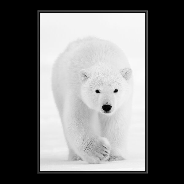 J arrive Lionel Maye Fine Art print Une image pour rever caisse americaine