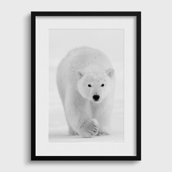 J arrive Lionel Maye Fine Art print An image for rever passe partout