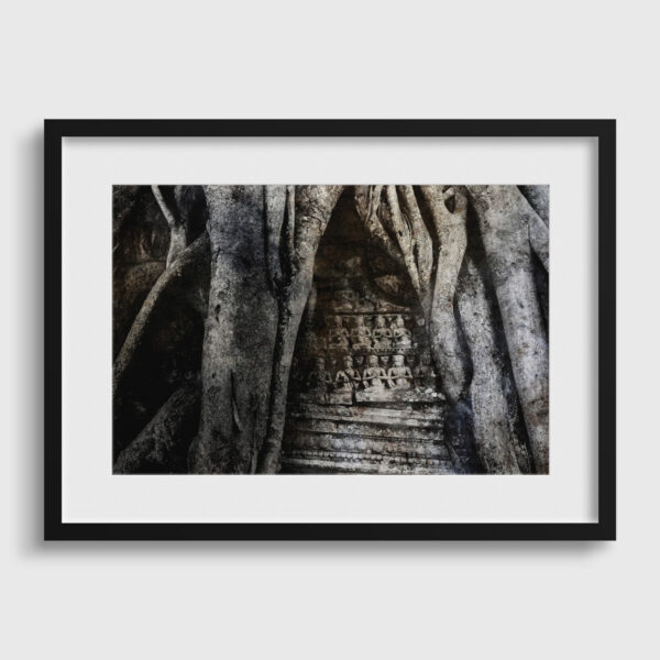 L arbre aux mille buddhas Yves Langlois tirage Fine Art Une image pour rever passe partout