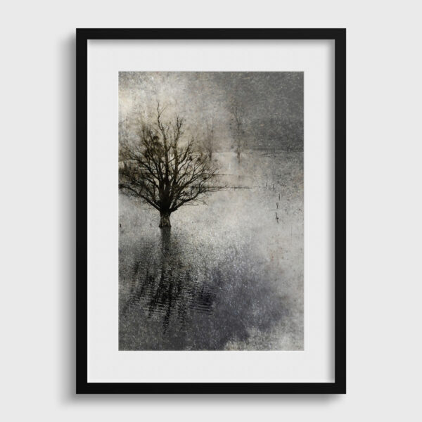 La crue Yves Langlois tirage Fine Art Une image pour rever passe partout