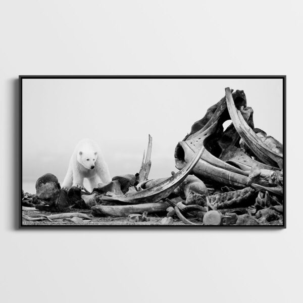 La pile d'os Lionel Maye Fine Art print Une image pour rever caisse americaine