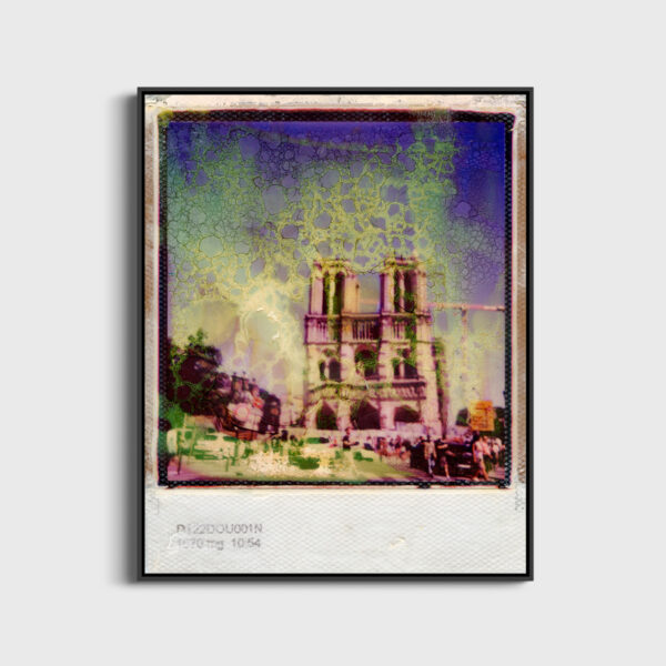 Notre Dame Andre Robe Fine Art Print An image for revering floating frame