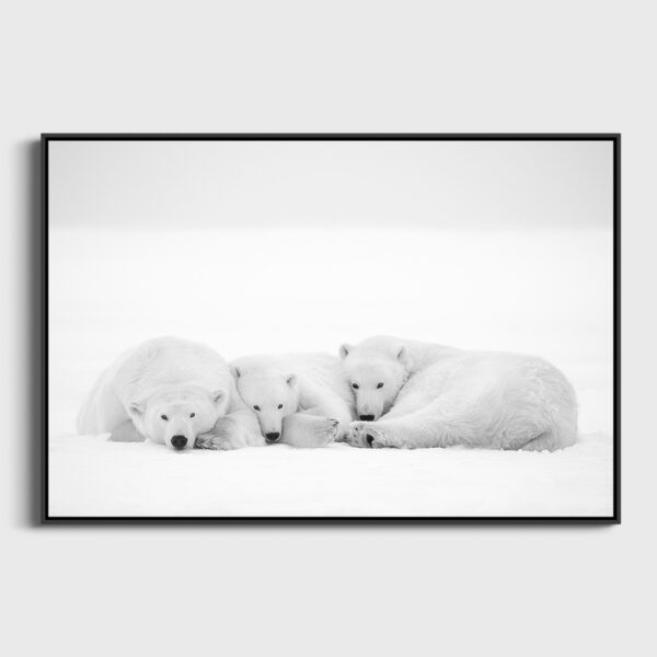 Petite sieste Lionel Maye Fine Art print Une image pour rever caisse americaine