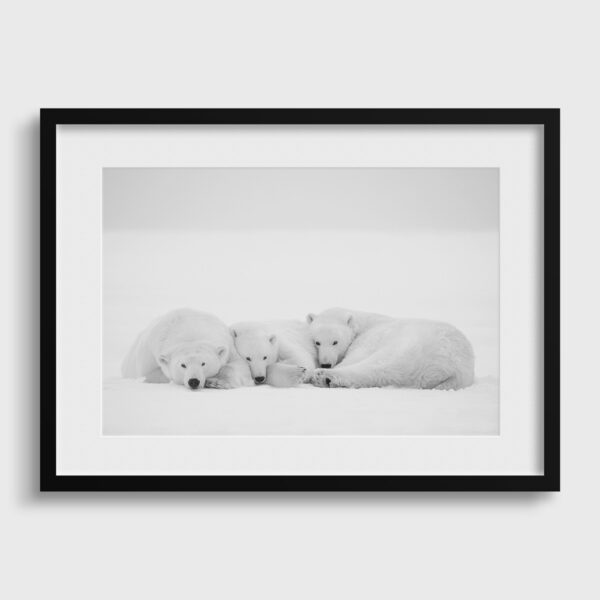Petite sieste Lionel Maye Fine Art print Une image pour rever passe partout