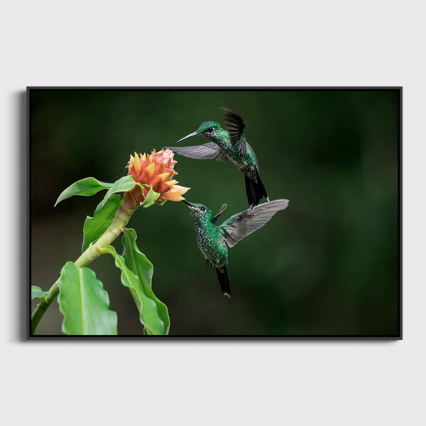 Repas partage 2 Lionel Maye Fine Art print Une image pour rever caisse americaine