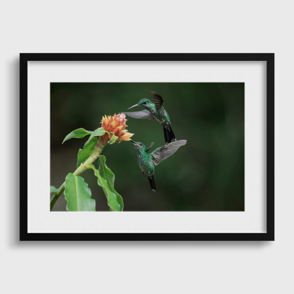 Repas partage 2 Lionel Maye Fine Art print Une image pour rever passe partout