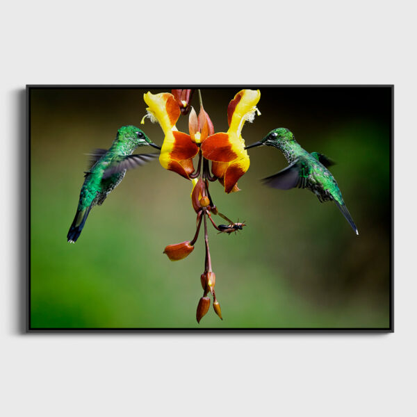Meal sharing Lionel Maye Fine Art print Une image pour rever caisse americaine