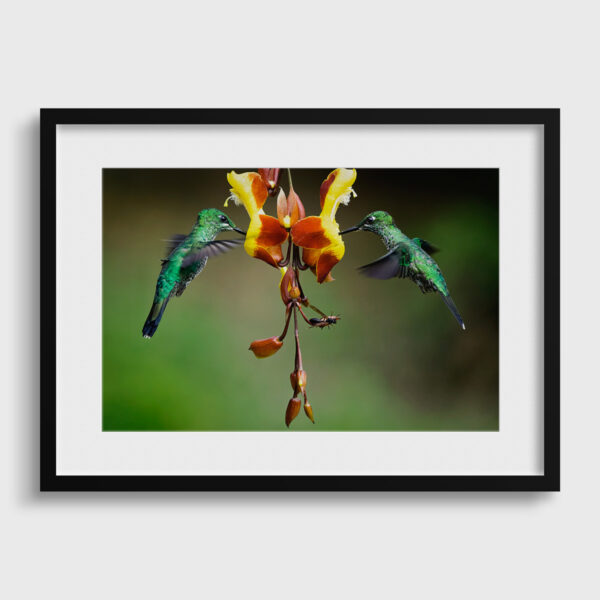 Meal sharing Lionel Maye Fine Art print Une image pour rever passe partout