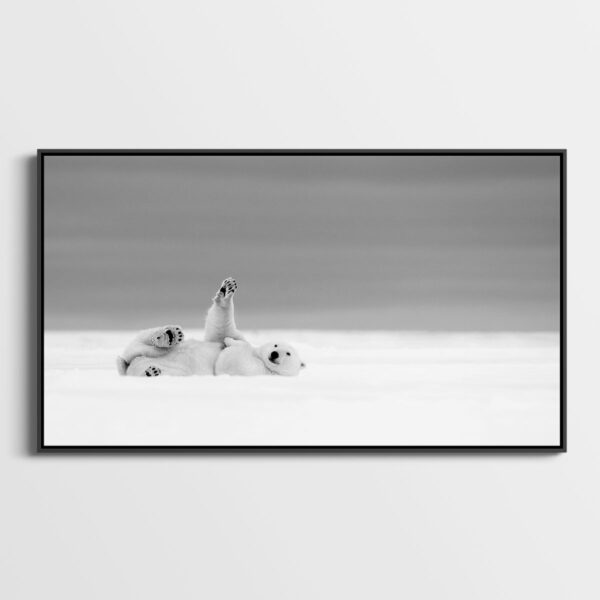 Hi in the snow 2 Lionel Maye Fine Art print Une image pour rever caisse americaine