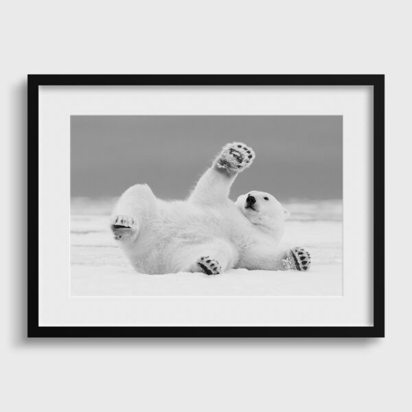 Hi in the snow Lionel Maye Fine Art print An image for rever passe partout